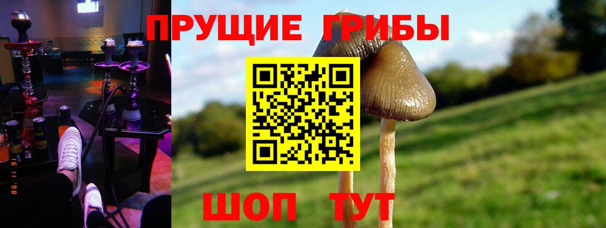 Псилоцибиновые грибы мицелий  Псилоцибиновые грибы Cubensis  Вход с VPN  Ликино-Дулёво 